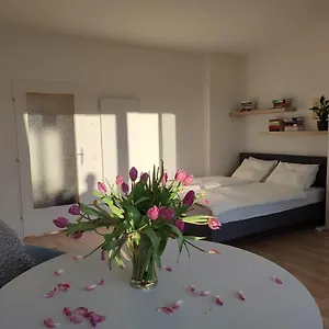 Mit Terrasse In Zentraler Lage Apartment Graz